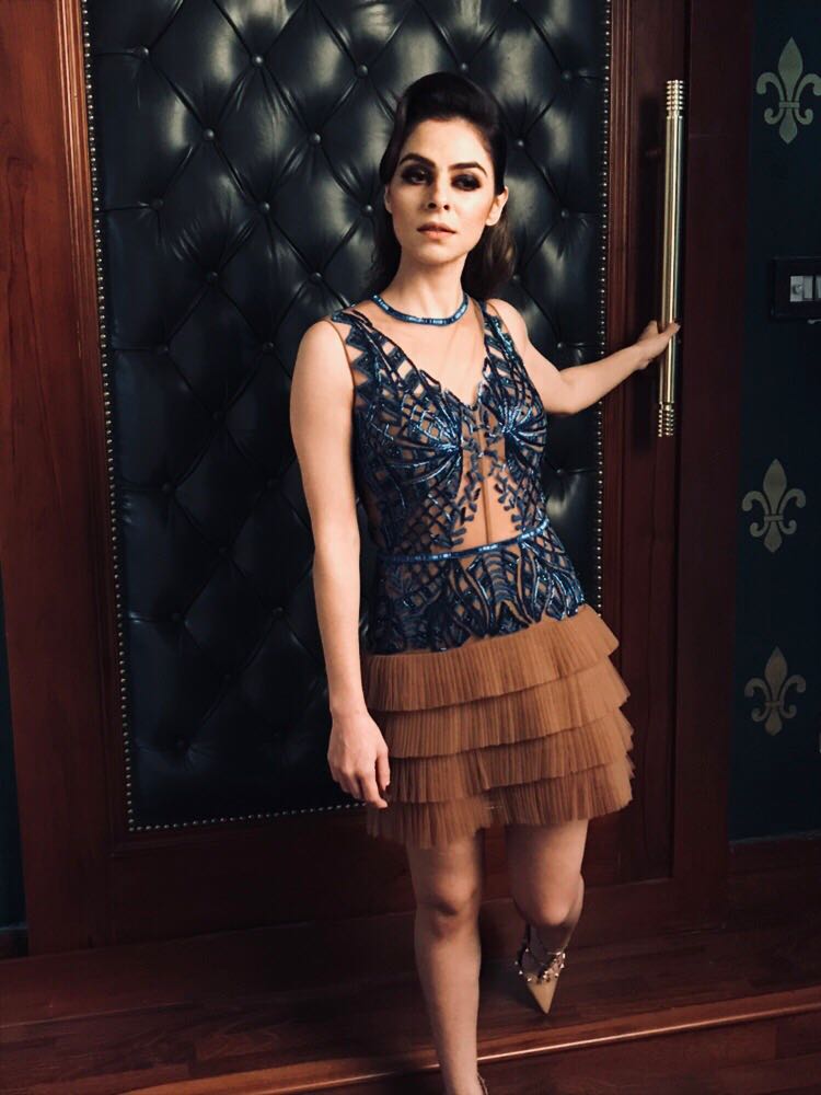 Brown and Blue Sheer Dress with Net Pleats Below
